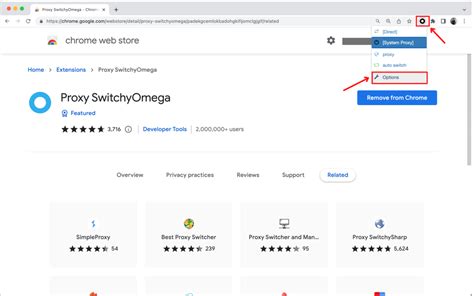 proxy switchyomega|Bright Data